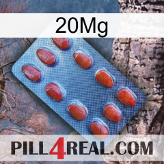 20Mg 06